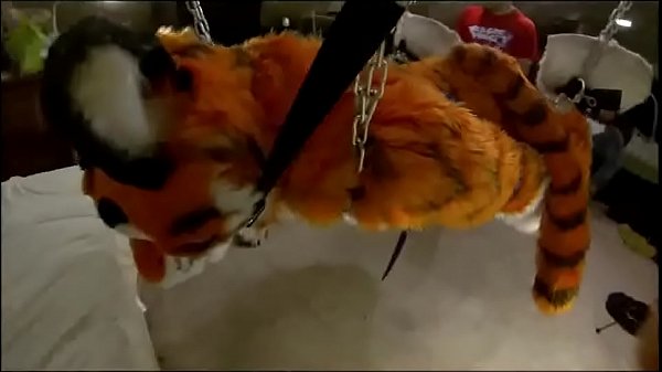 Bound furry penetrated but not allowed to cum