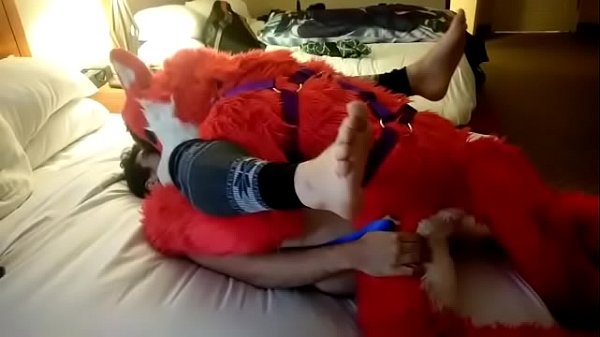 Filling the Fox