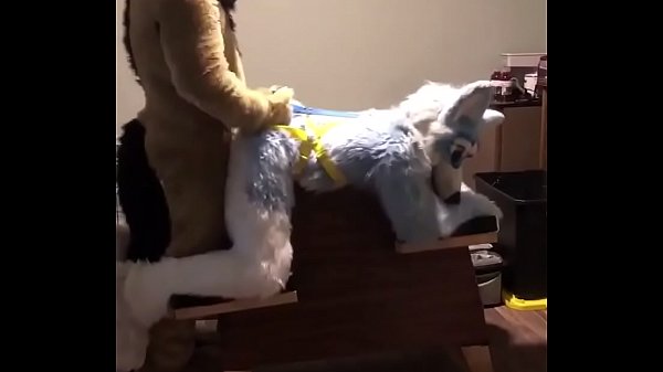 Furry fucked on Bench