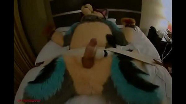 Fursuit post orgasm torture