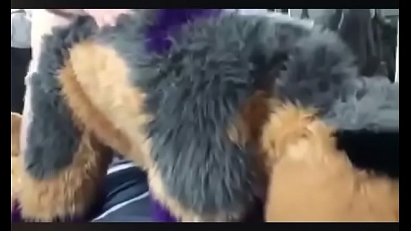 Fursuit pup fucked HARD on bed