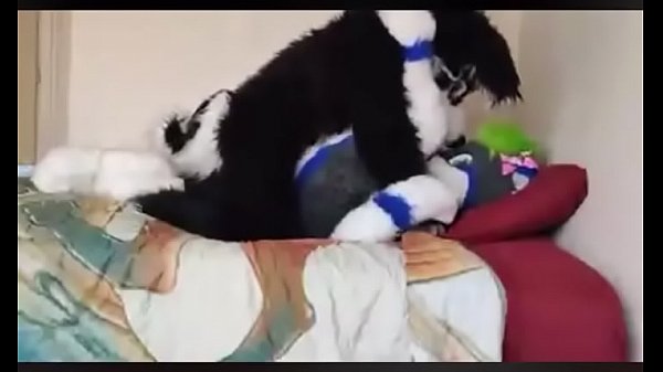 Fursuit pup fucked softly on bed