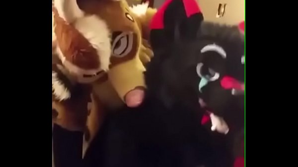 Fursuiters fuck in bathroom while bottom moans loudly