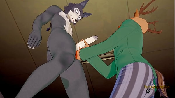 Beastar Yaoi – Louis masturbates Legosi and gets cum on his face then fucks him with creampie – Furry Yiff Anime Manga Japanese Gay