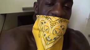 Seed doggs of the jizz seas