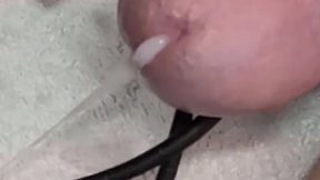 4 estim sessions in one