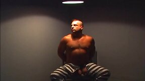 Bears fuck in jail cell