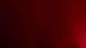 Exploring amsterdams glory holes