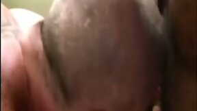 three bears on bungallow