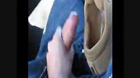 A compilation of car cumshots