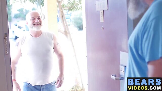 Haired cub receives a condomless butt banging from a thick bear