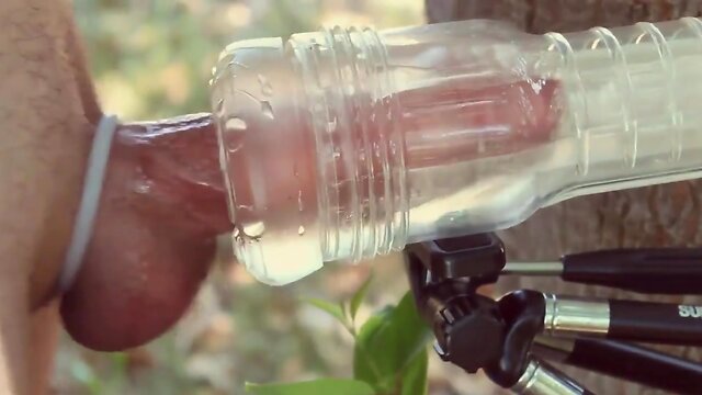 Warm morning prick milking outdoors