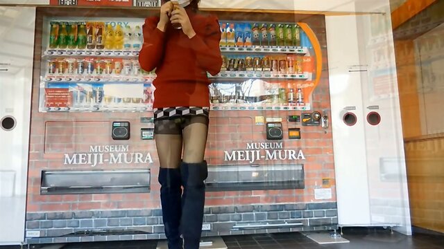 scenery of the 1860s of Japan